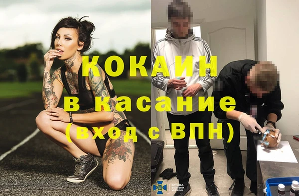 ГАЛЛЮЦИНОГЕННЫЕ ГРИБЫ Алзамай